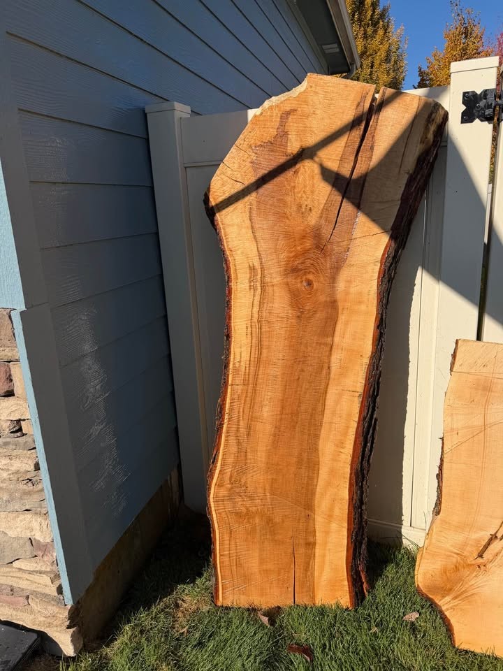 Live Edge Wood Slab - Image 2