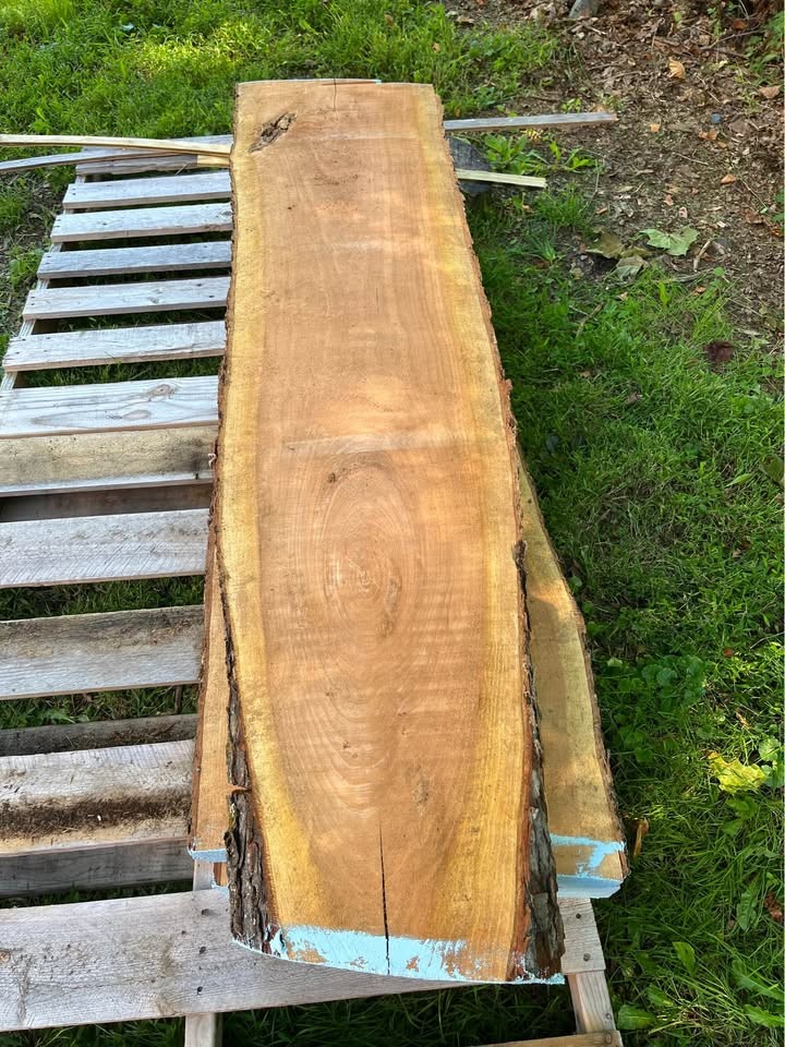 Gorgeous Kiln Dried Live Edge 12/4￼ Red Cherry Slabs - Image 9