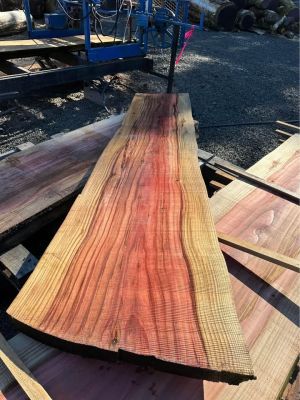 Sequoia Slabs