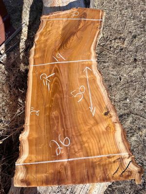 Mulberry fruit slab