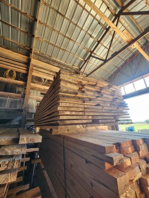 Kiln dried White Ash