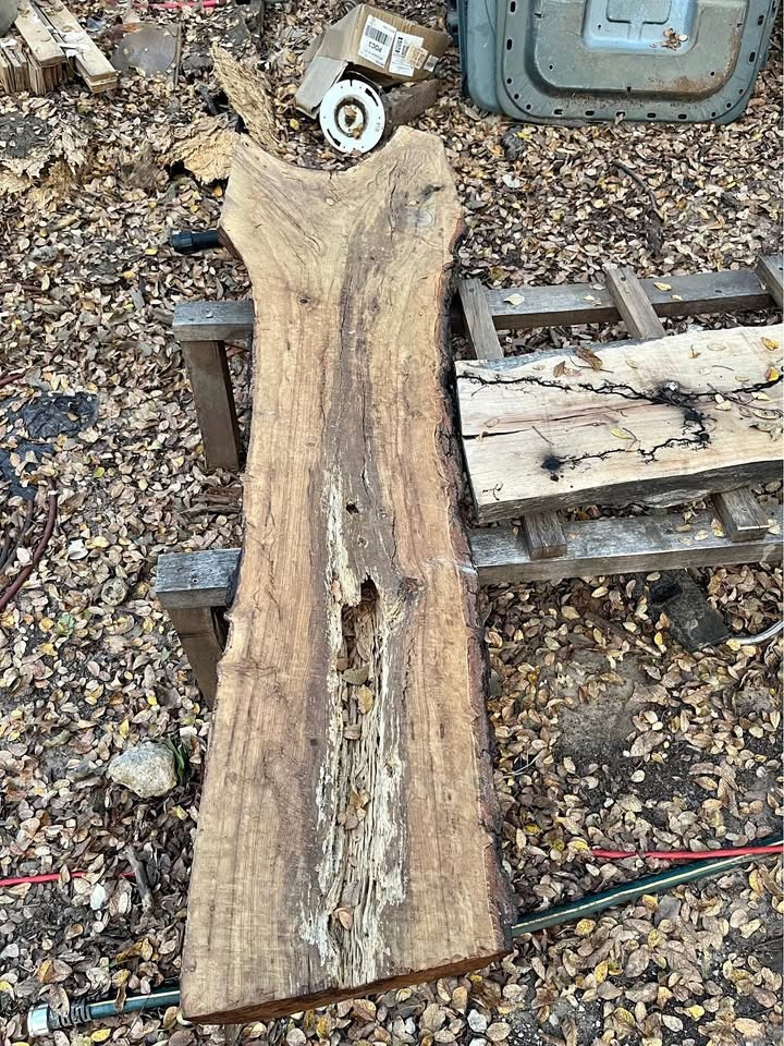 Oak slab with punk wood gutted - Image 1