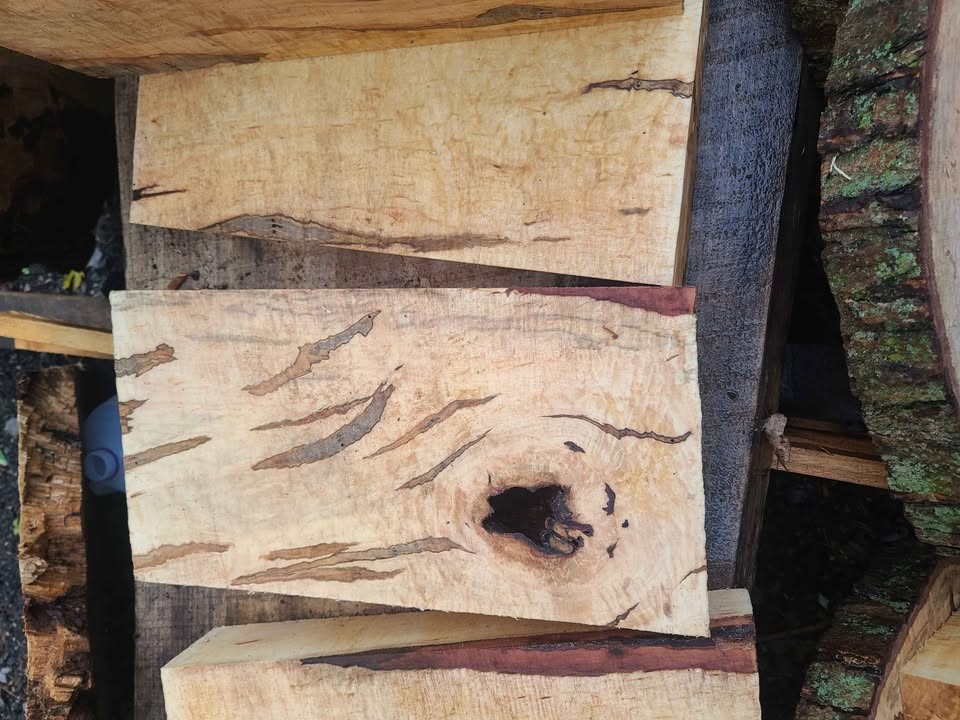 Curly spalted ambrosia maple turning blanks and rounds - Image 4