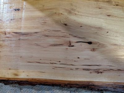 Live Edge Wood Slab