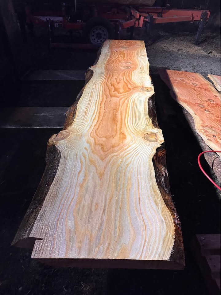 Fir Slab - Image 4