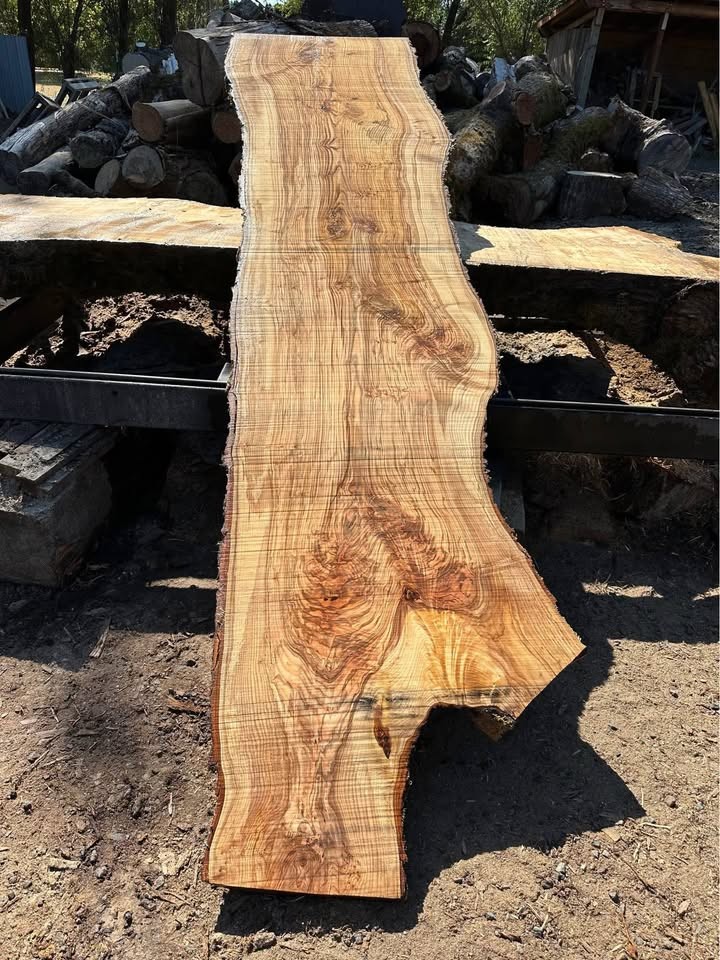 Wild Ash Slabs ;) (Kiln Dried) - Image 9