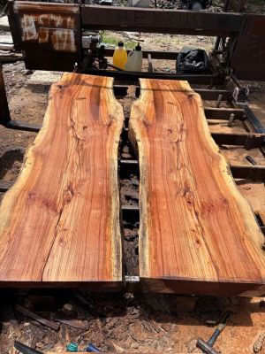 Live edge spalted pecan slabs