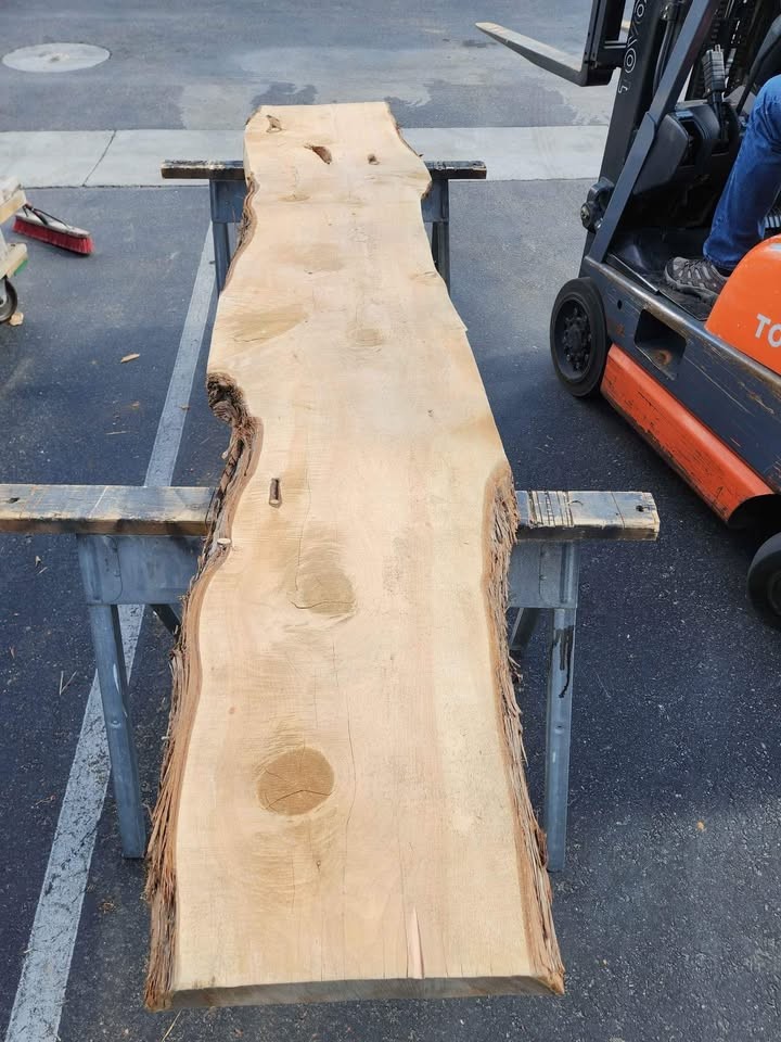 3x21x10ft Kiln Dried Juniper Slab - Great Wood Project Material - Image 5