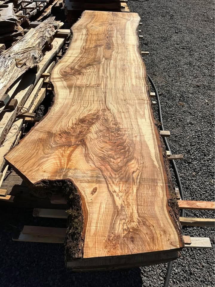 Wild Ash Slabs ;) (Kiln Dried) - Image 6