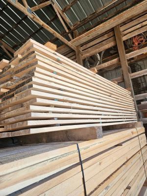 Kiln dried White Ash