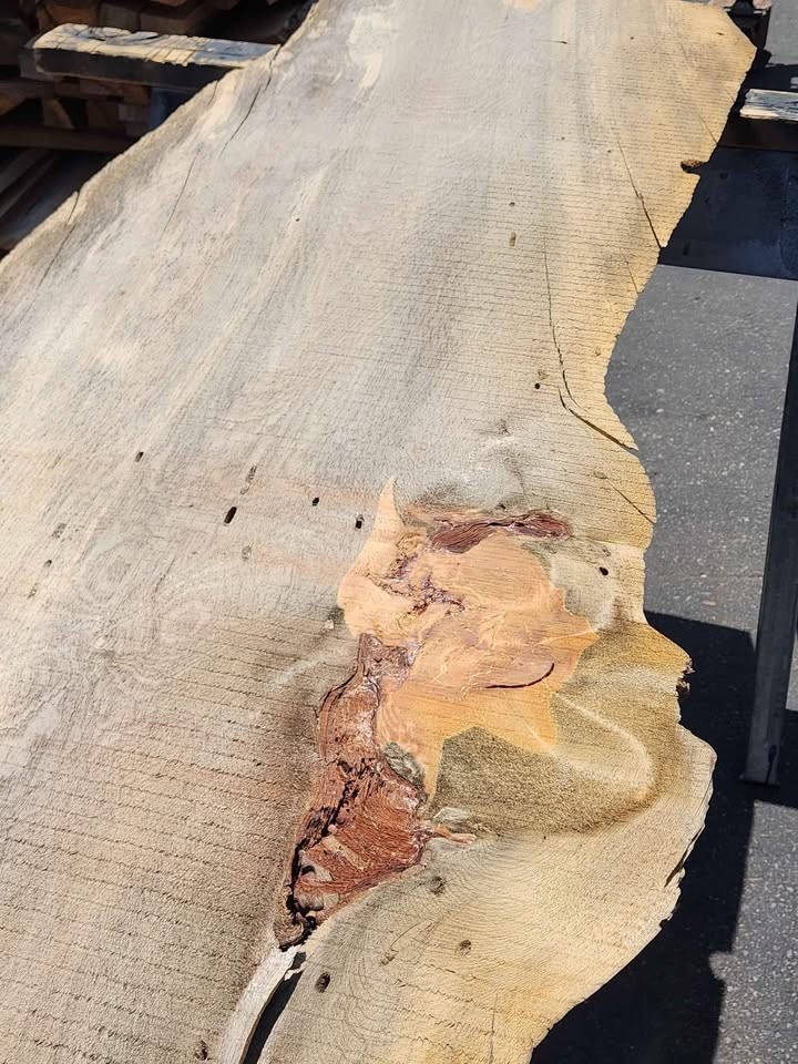 Cool Live Edge Wood Slab 1x22x8.5ft - Great Project Material - Lumber - Image 9