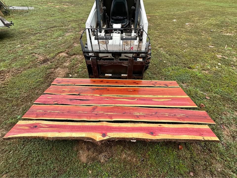 Live edge cedar and black walnut - Image 1