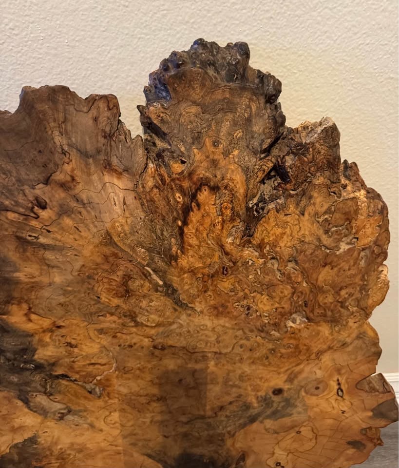 Live Edge Burl Wood Slab 30” L x  26” W x 2” Thick - Image 2