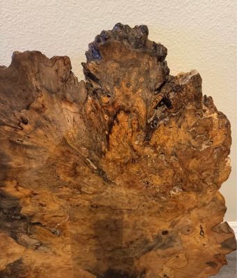 Live Edge Burl Wood Slab 30” L x  26” W x 2” Thick