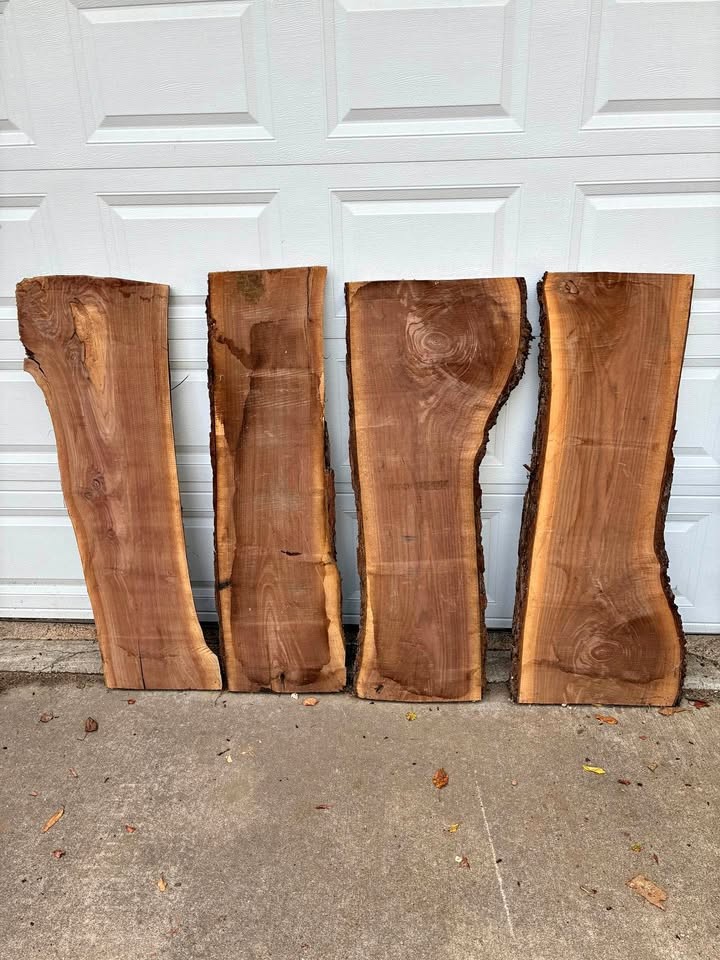 Live edge walnut slabs - Image 1