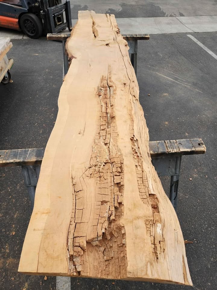Live Edge Wood Slab - 3x22x9.5ft - Kiln Dried Juniper - Epoxy Project Material - Image 8