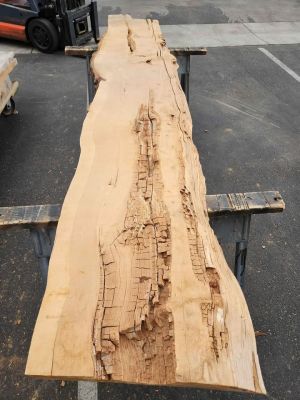 Live Edge Wood Slab - 3x22x9.5ft - Kiln Dried Juniper - Epoxy Project Material