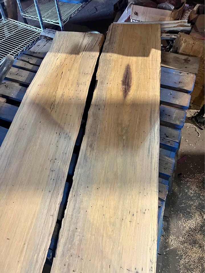 Live Edge Spalted Wamara Wood Slabs - Image 1