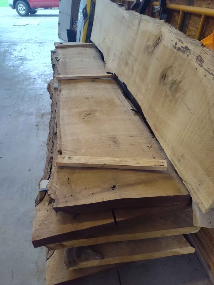 Slabs of White Oak - Image 2