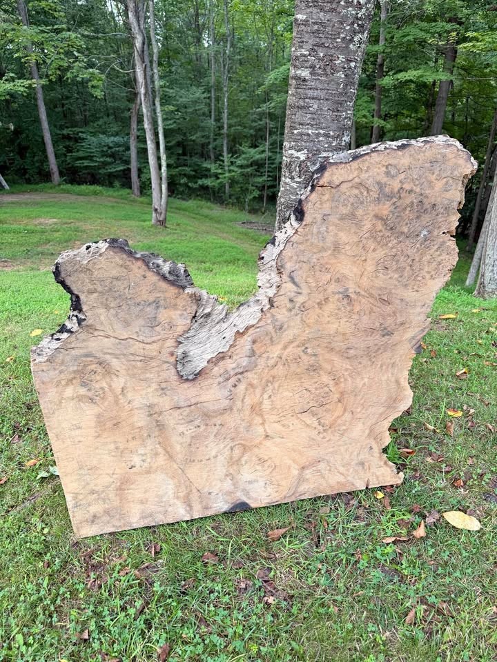 Live Edge Piqua Wood Slab - Image 1