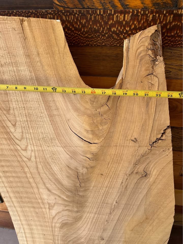 Thick live edge wood slab for sale - Image 4
