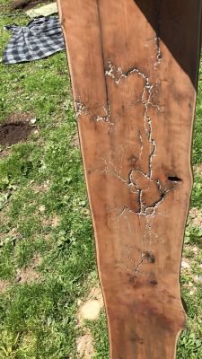 Yew slab