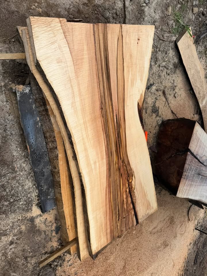 Silver Maple Live Edge Sawmill Slabs - Image 5