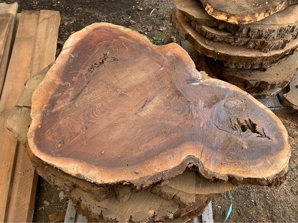 Black Walnut End Grain Slabs - Walnut Cookies - Image 5