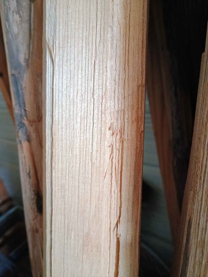 Wood Staves 72" and 60" - Image 8