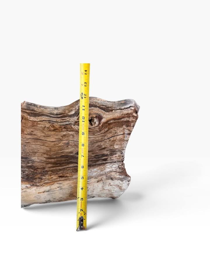 Pistachio Bowl Blank 12x12x5 DRY 8% MC Live Edge Woodturning Lathe Wood LARGE - Image 6