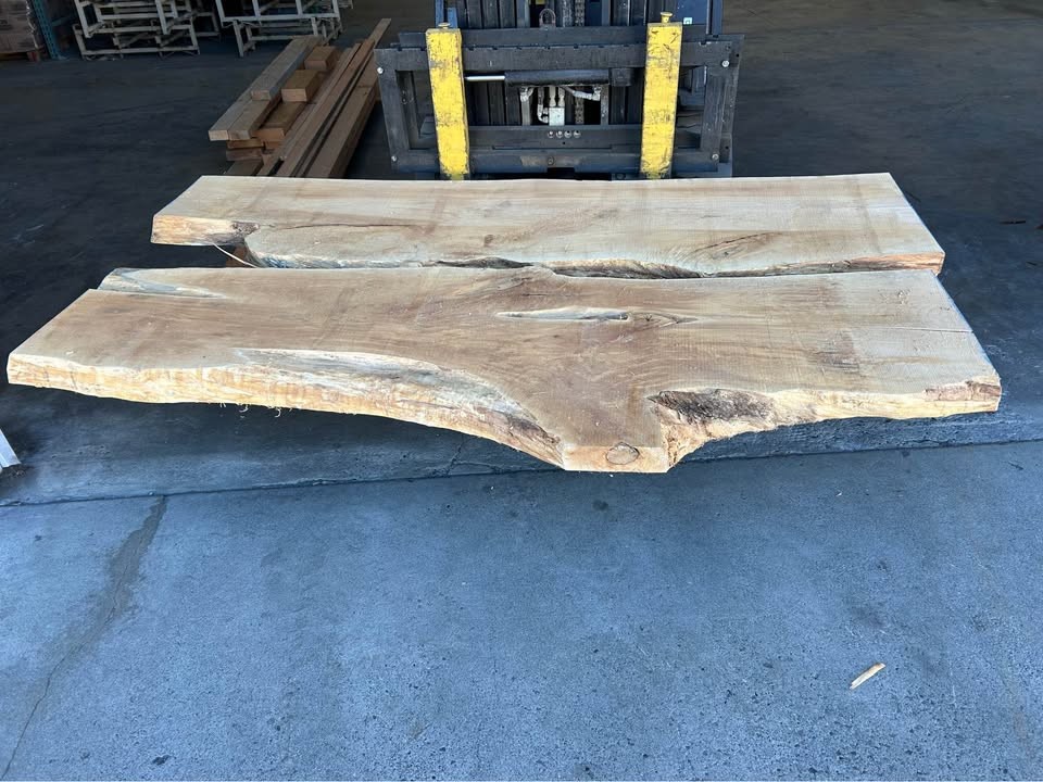Live edge maple slabs - Image 5