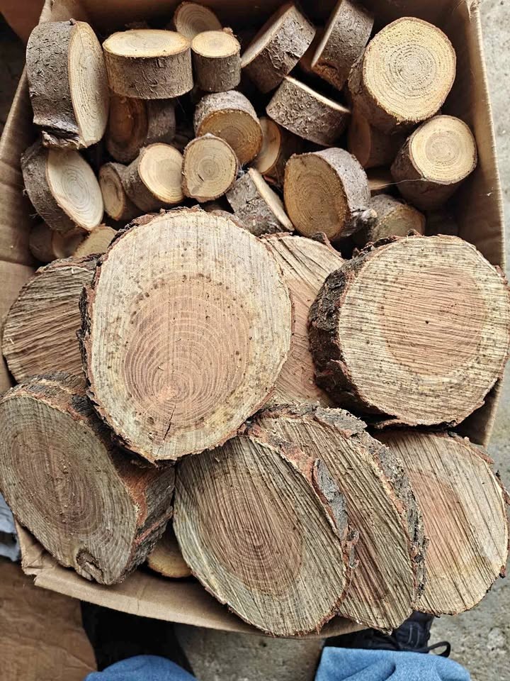 Wood rounds.