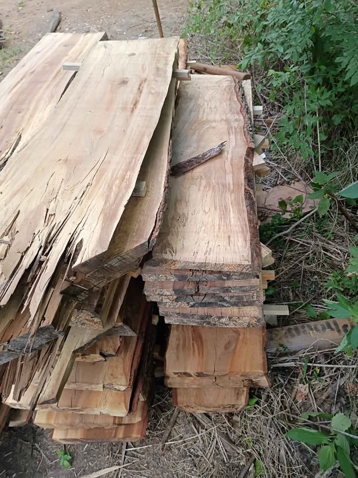 Wood slabs sale - Image 5