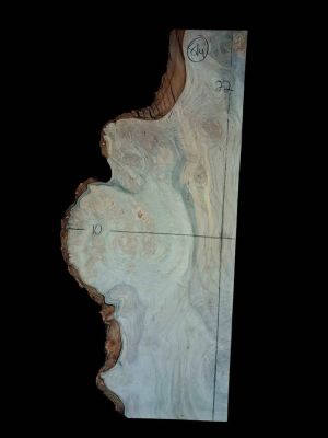 XL INSANELY FIGURED AMBROSIA MAPLE Burl wood Blank, Birdseye Maple Burl, Live Edge Maple, EPOXY WOOD