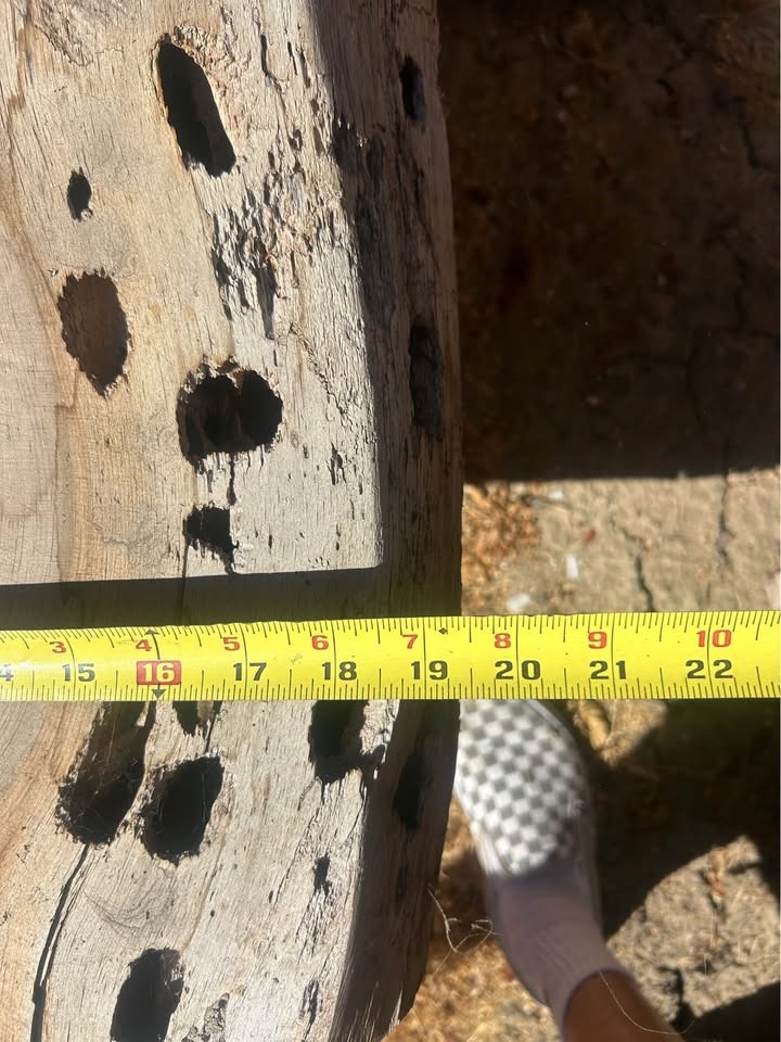 Raw wood. Great slab - Image 2