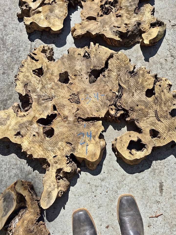 Buckeye Burl Slabs - Image 1