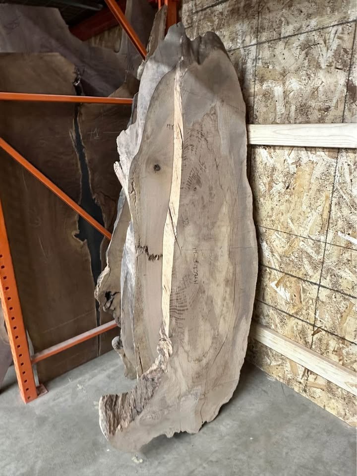 Myrtle Wood Figured & Burl slabs & Slices - Image 8