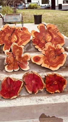 Assorted Live Edge Wood Slices
