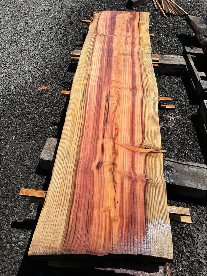 Sequoia Slabs - Image 2