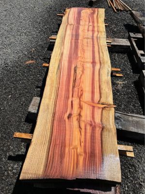 Sequoia Slabs