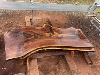 Live Edge Slab Wood/ Lumber For Sale