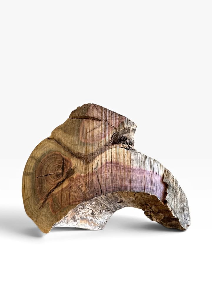 Pistachio Bowl Blank 12x12x5 DRY 8% MC Live Edge Woodturning Lathe Wood LARGE - Image 1