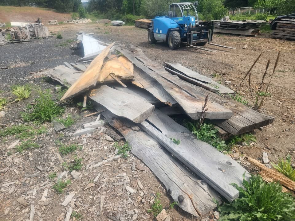 Pile of large Wood Slabs - Image 2