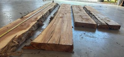 3” thick slabs of Cedar