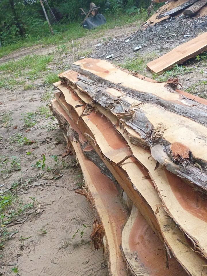 Wood slabs sale - Image 3