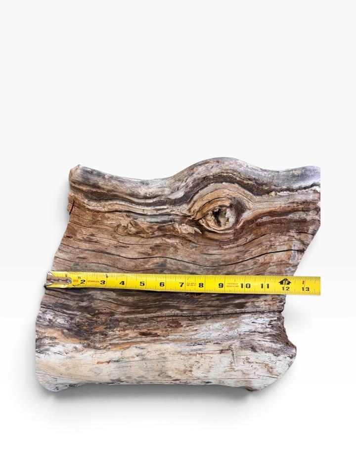 Pistachio Bowl Blank 12x12x5 DRY 8% MC Live Edge Woodturning Lathe Wood LARGE - Image 5