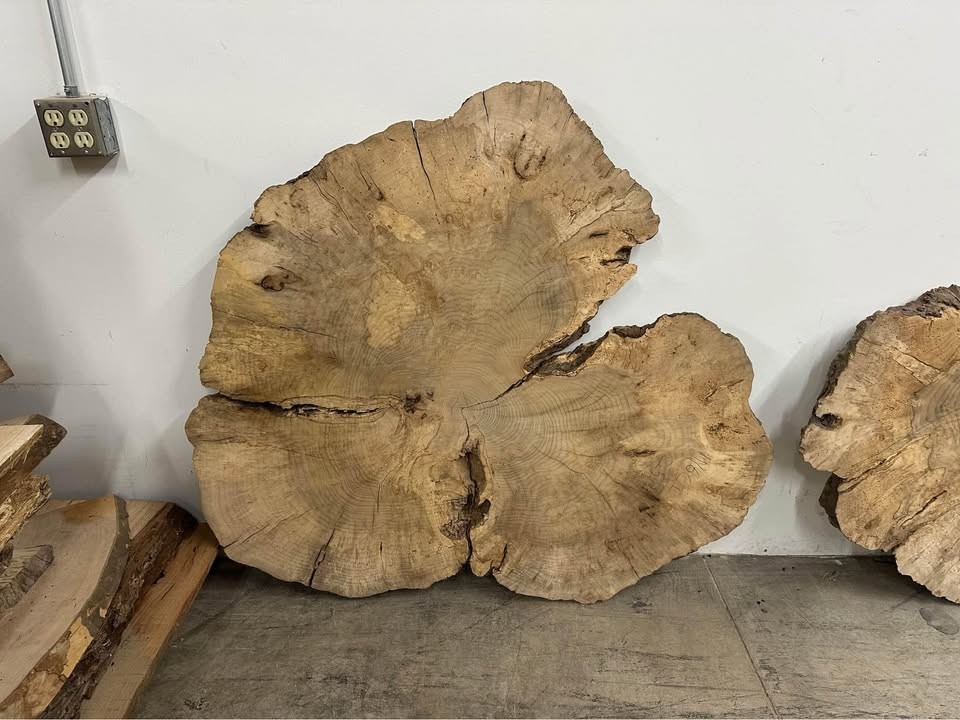 Myrtle Wood Figured & Burl slabs & Slices - Image 2