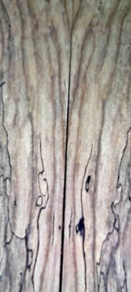Rare Spalted Walnut Live Edge and Logs.... One of a Kind - Image 1