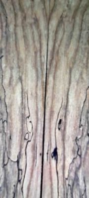 Rare Spalted Walnut Live Edge and Logs.... One of a Kind