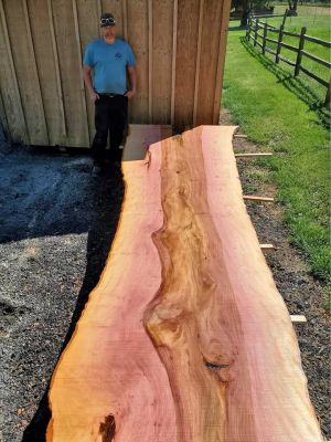 Live Edge Slab Wood/ Lumber For Sale